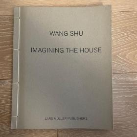 wang shu imagining the house