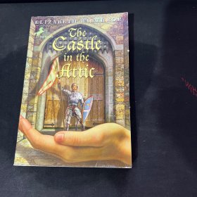 The Castle in the Attic