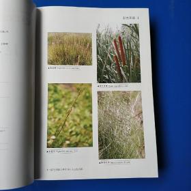 昆仑植物志（第1－4卷）全套四册 精装