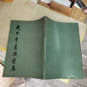 武中奇書法選集