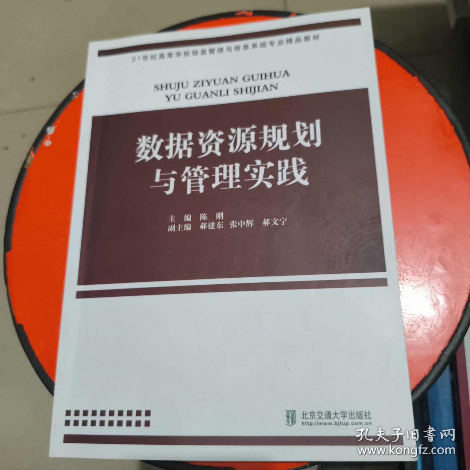 数据资源规划与管理实践 少许字迹