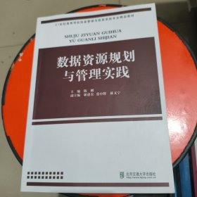 数据资源规划与管理实践 少许字迹