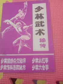 少林武术秘传
