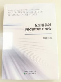 企业孵化器孵化能力提升研究。