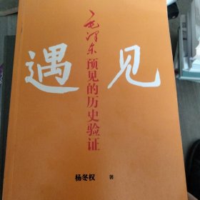 遇见:毛泽东预见的历史验证（毛泽东研究的新视角、新成果！近600个“神一级”的准确预见，从中学会：领会趋势，预见未来！）