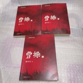 曹操（易中天长篇历史小说）