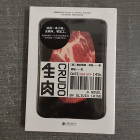 生肉（一本刻意“粗糙”的小说，一场自媒体时代的写作表演）