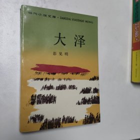 大泽 红色文学 怀旧收藏 私藏美品 一版一印 新华书店库存书 封面漂亮