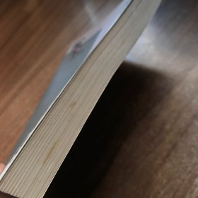 新现实主义及其批判