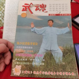 武魂杂志 2005 2不缺页 密宗大悲陀罗尼拳2 判官笔 乾坤棒练习法白马回头 三皇炮捶拳基本功法前扫与后扫