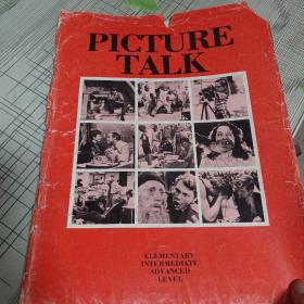 PICTURE TALK[29页]