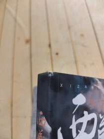 西藏妈妈 雪域高原母亲书写人间大爱传奇纪实文学 深入采访记录西藏爱心妈妈们与孤儿孩子无私大爱的感人故事