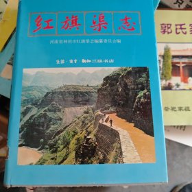 紅旗渠志2