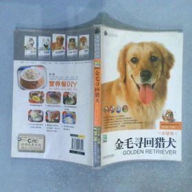 金毛寻回猎犬