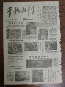 雅安报丰收画刊