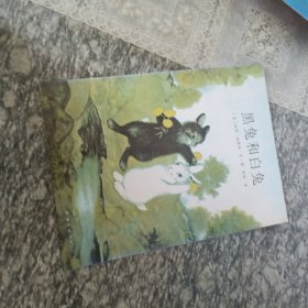 黑兔和白兔