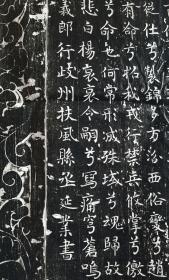 李唐宗室 淮安王李寿孙子李璲墓志拓片,文字部分53厘米,墨拓部分87厘米。         第五子岐州扶风县承李延業书丹。         李璲是淮安王李神通即李寿孙子,李孝同第三子。其解褐授恒州九门县令,迁晋州汾西县令。       夫人高氏,乃名相高士廉之孙,户部尚书驸马都尉高履行之女。