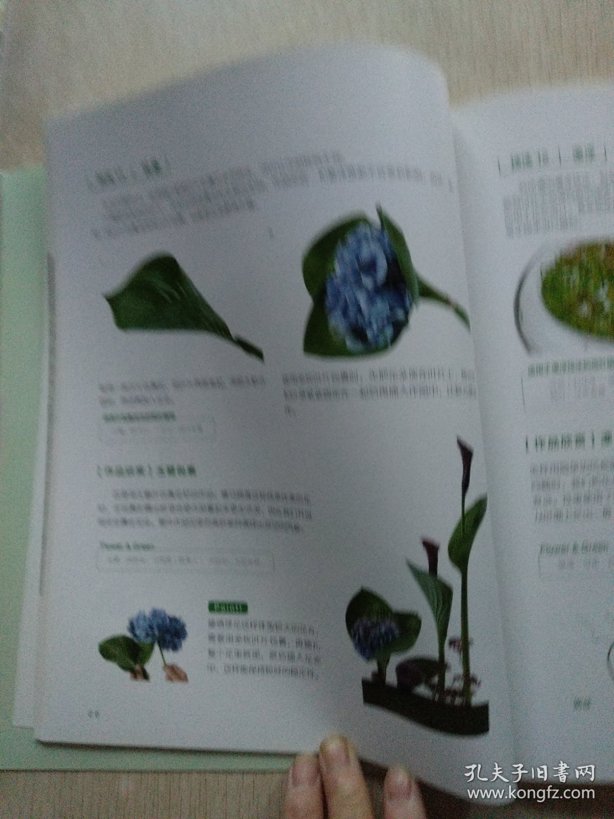 日本花艺名师的人气学堂：叶材的使用技法