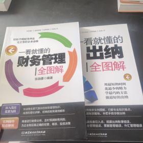 一看就懂的（财务管理+出纳）全图解 （2本合售）