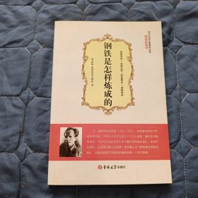 【外国小说】大悦读：钢铁是怎样炼成的（软精装）