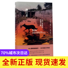 潜行者(关于电影的终极之旅)(精)