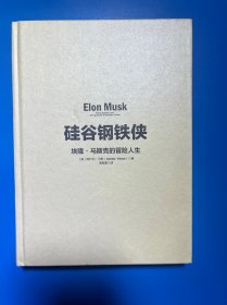 硅谷钢铁侠：埃隆·马斯克的冒险人生