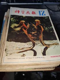 科学画报1982年12册全