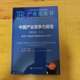 中国产业竞争力报告(2023)No.12