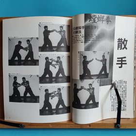 日文二手原版 16开本 中国武术の专门志 武术(うーしゅう)  1994年季刊夏号 特集 螳螂拳