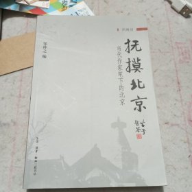 抚摸北京——当代作家笔下的北京（二手书）