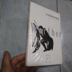 少年维特的烦恼