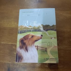 打动孩子心灵的动物经典——灵犬莱西[美]艾里克 奈特  著；胡婧  译；刘向伟  绘中国少年儿童出版社