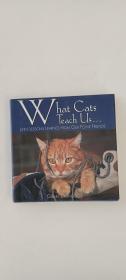 What Cats Teach Us+what dogs  teach us+what horse teach us三册合售