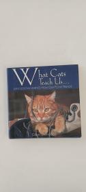 What Cats Teach Us+what dogs  teach us+what horse teach us三冊(cè)合售