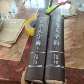 章草大字典（全二册）学习章草必备大字典
