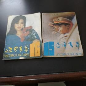 辽宁青年 1993年15-16 两本合售