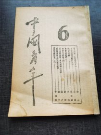 中国青年第6号博物馆收藏红，色文献