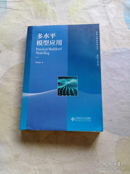 多水平模型应用/高级心理统计学丛书