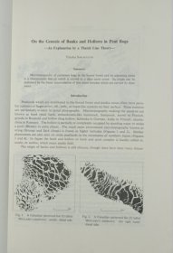 【学者谢又广签名旧藏】1972年东京大学地理系学者坂口裕隆著《泥炭沼泽中滩洼成因的探讨——茅草弦理论的解释》16开25页插图本