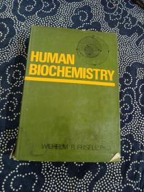 HUMAN BIOCHEMISTRY--人类的生物化学（英文原版，精装）