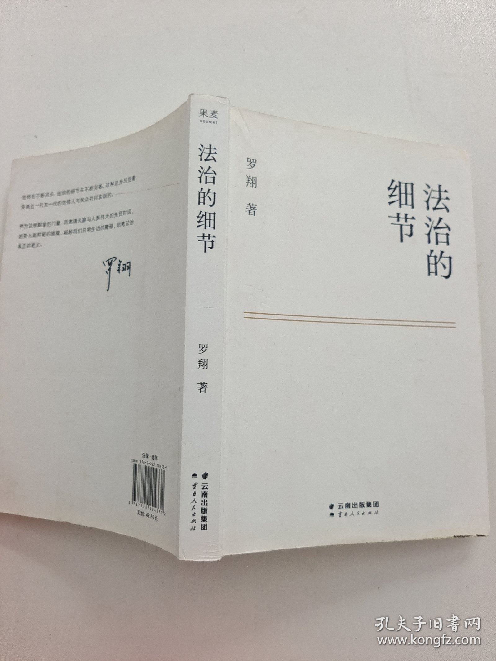 法治的细节