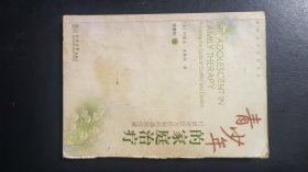青少年的家庭治疗：打破对抗与控制的循环怪圈
