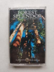 FOREST SPLENDOR  未开封  磁带一盘