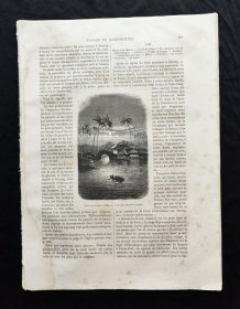 1875年《环球游记》，交趾支那（今越南南部）史料。包括演员，宗教信仰，自然景观，工业制品等。永隆，美荻，新安各地区自然环境。呈现了19世纪欧洲殖民者对该地区人文，地理的记录，是研究19世纪越南的珍贵影像资料。