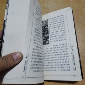 西方现代派美术 .