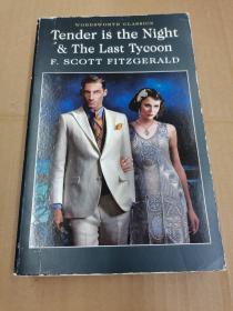 Tender is the Night / The Last Tycoon