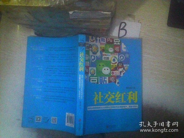 社交红利：如何从微信微博QQ空间等社交网络带走海量用户、流量与收入