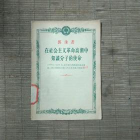 在社会主义革命高潮中知识分子的使命(中国公安部图书馆藏书)