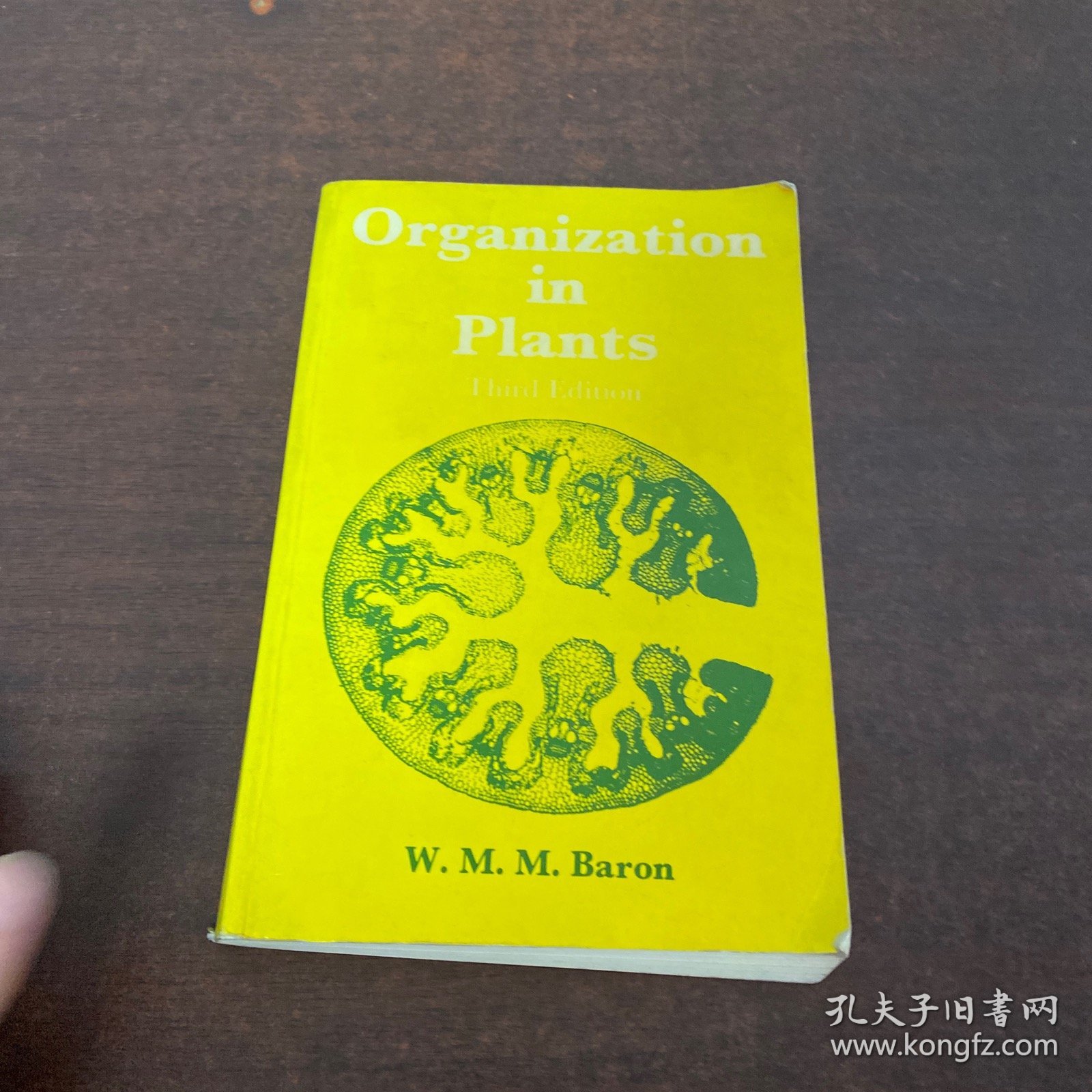 Organization in plants