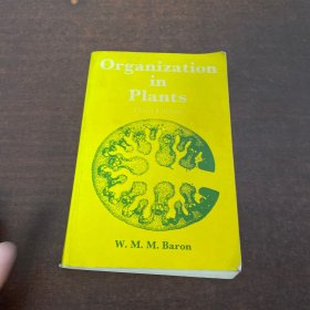 Organization in plants